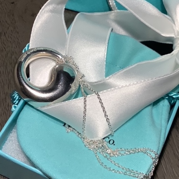 Tiffany & Co Elsa Peretti Large Eternal Circle Pendant with T & Co. 925 Chain - Picture 6 of 11